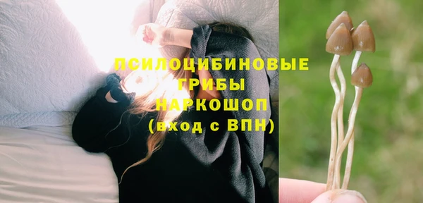 стаф Покровск