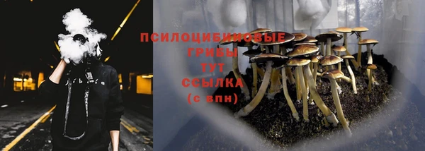 2c-b Покров