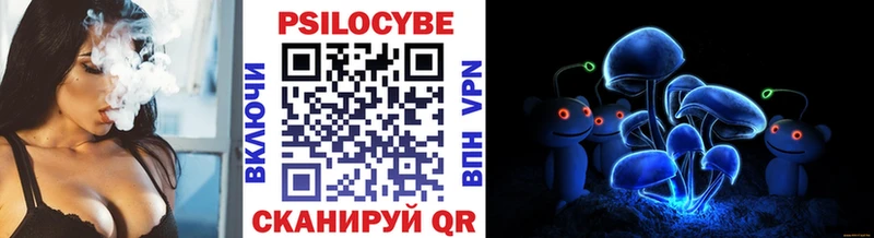 Купить  Киселёвск  Псилоцибиновые грибы GOLDEN TEACHER 